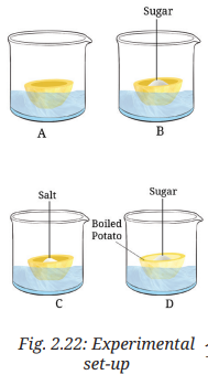 Question diagram