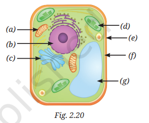 Question diagram