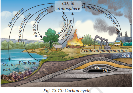 Question diagram